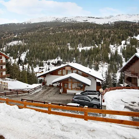 Primula 13 산타카테리나발루프바