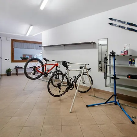 Primula 13 산타카테리나발루프바